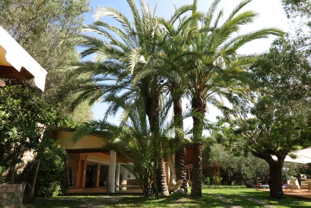 Villaggio Garden Park Marina di Camerota Exterior foto